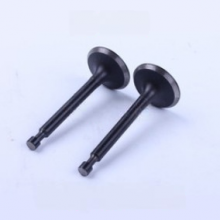 Клапана на мотопомпа Daishin SCR-80HX (впускний та випускний)