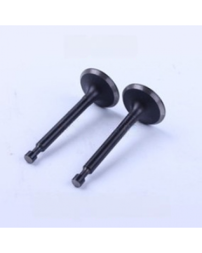 Купити Клапана на мотопомпа Lifan 40ZB60-4.8QT (впускний та випускний)