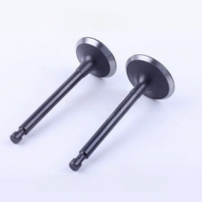 Клапана на бензиновий двигун Forte F188 (впускний та випускний)