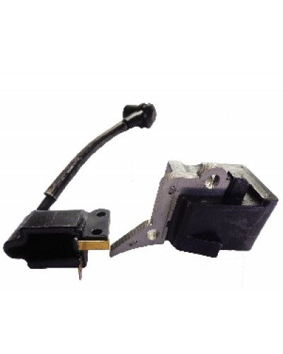 Купити Котушка запалювання Goodluck 6200