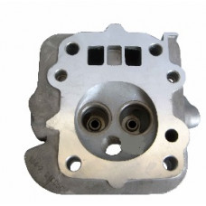 156F - Головка блоку гола