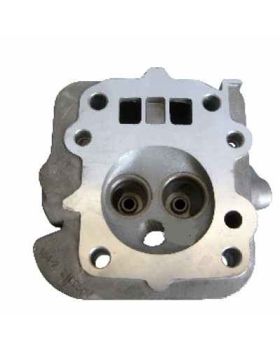 Купити 156F - Головка блоку гола