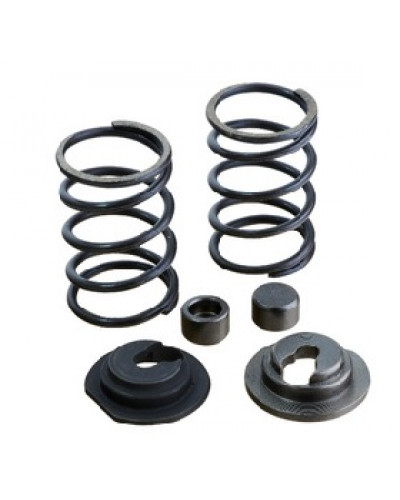 Купити 156F - Клапанний механізм (пружини з тарілками)