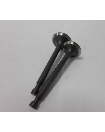 Купити 177F - клапани впуск випуск