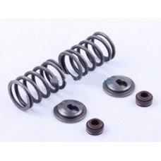 188F - клапанний механізм к-т (пружини, тарілки, сальн.клап.) на 2 кл.