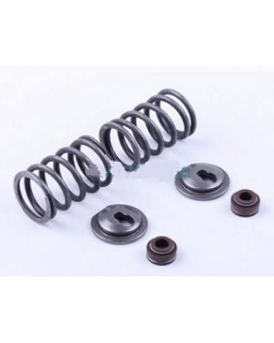 Купити 188F - клапанний механізм к-т (пружини, тарілки, сальн.клап.) на 2 кл.