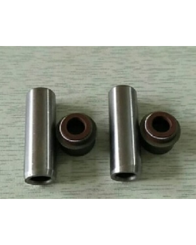 Купити 178F - напрямні клапанів із сальниками (на 2 кл.)