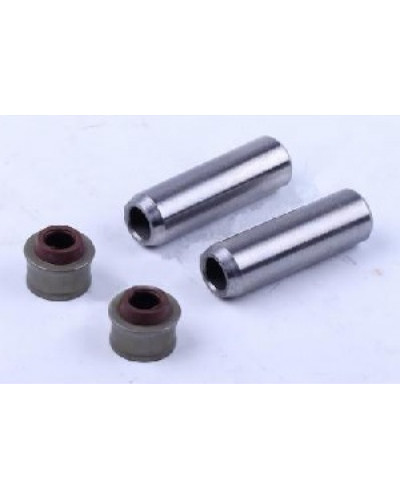 Купити 178F - Напрямні клапанів із сальниками (на 2 кл.) - Premium