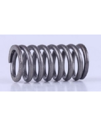 Купити КПП - пружина кошика зчеплення