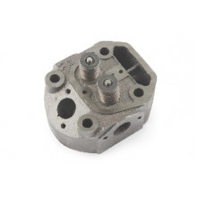 175N - головка циліндра у зборі (старого зразка)