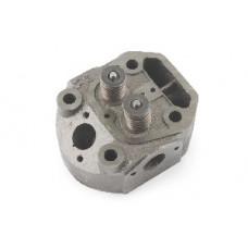 175N - головка циліндра у зборі (старого зразка)