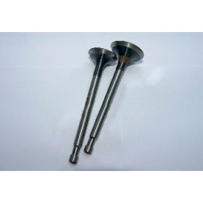 180N - Клапани впуск випуск Ø8 mm