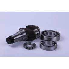 180N - колінвал у зборі (підшипники 6310/6210, шестерня)