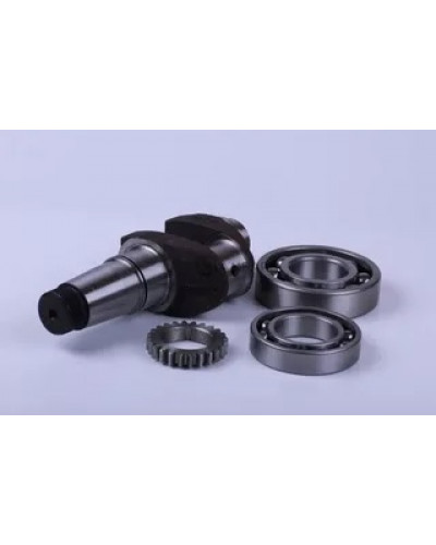 Купити 180N - колінвал у зборі (підшипники 6310/6210, шестерня)