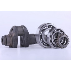 180N - колінвал у зборі (підшипники 6310/6210, шестерня) - Premium