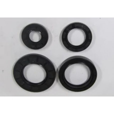 180N - сальники к-т 4шт.(20*40*8; 30*45*8; 45*62*12; 40*70*8)