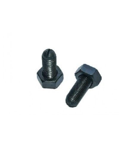 Купити 190N - гвинти регулювання клапанів з гайками (2шт.)