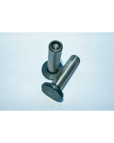 Купити 190N - штовхачі (2шт.)