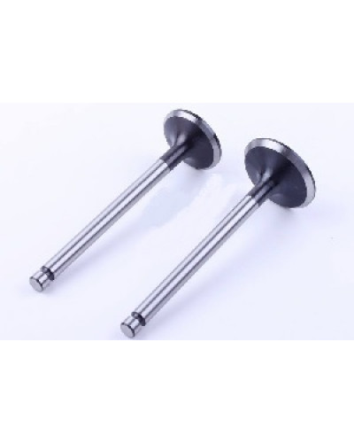 Купити 190N - клапани впуск випуск