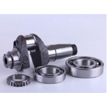 195N - колінвал у зборі (підшипники, шестерня) (ZUBR original)