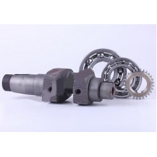 195N - колінвал у зборі (підшипники, шестерня) (ZUBR original) - Premium