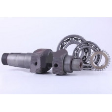 195N - колінвал у зборі (підшипники, шестерня) (ZUBR original) - Premium