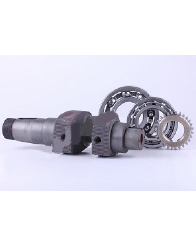 Купити 195N - колінвал у зборі (підшипники, шестерня) (ZUBR original) - Premium