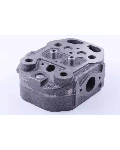Купити ZS/ZH1100 - головка циліндра (гола)