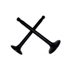 ZS/ZH1100 - клапани впуск випуск