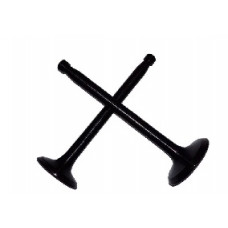 ZS/ZH1100 - клапани впуск випуск