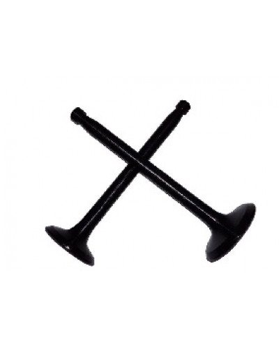 Купити ZS/ZH1100 - клапани впуск випуск