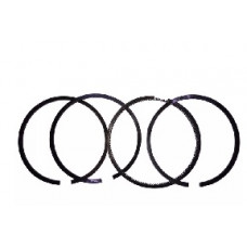 ZS/ZH1100 - кільця 100 STD