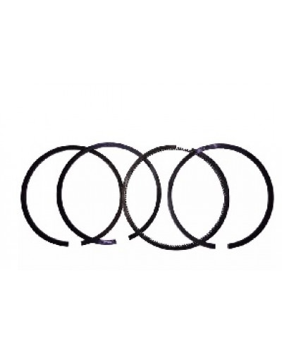 Купити ZS/ZH1100 - кільця 100 STD