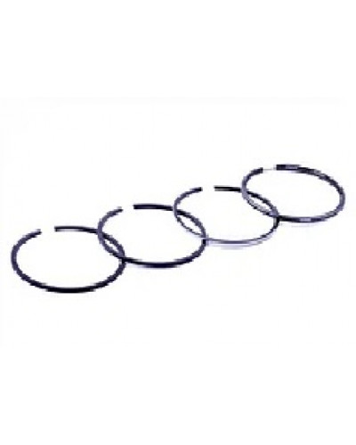 Купити ZS/ZH1100 - кільця 100,25mm