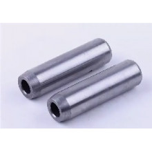 ZS/ZH1100 - напрямні клапанів (пара)