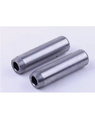 Купити ZS/ZH1100 - напрямні клапанів (пара)