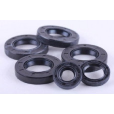 КПП/6 - Сальники комплект 6 шт. - Premium