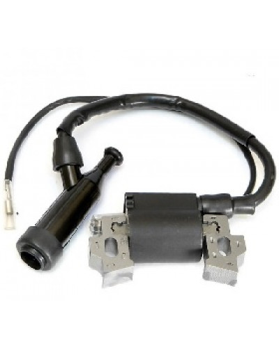 Купити Запалювання генератора 2 кВт