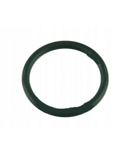 Купити Кільце компресійне автомийки PWA-2158 turbo, 22*16*3 мм., Китай