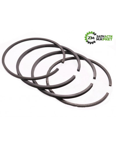 Купити Компресійні кільця компресора d=100 мм