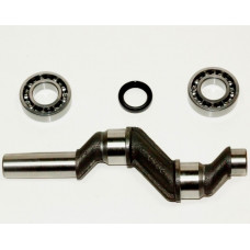 Колінвал компресора FINI, Dari DG490 (113167003) з підшипниками