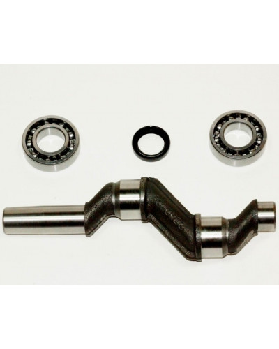 Купити Колінвал компресора ABAC В3800 (3660200, 9428022, 6229022800)