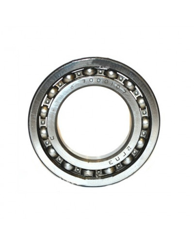 Купити Підшипник 7000107 (16007)