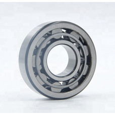 Підшипник 2505 (NU 2205)