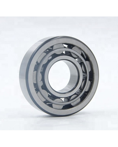 Купити Підшипник 2505 (NU 2205)