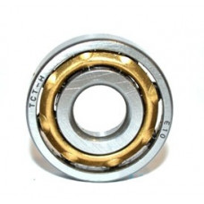 Підшипник 6010 (E 10)