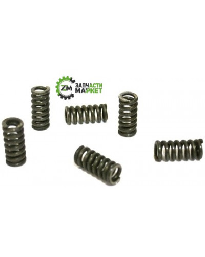 Купити Пружини у шестірню перфоратора Ейнхель 1500 вт